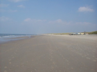 Alternativtext fr das Link- Bild