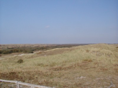 Alternativtext fr das Link- Bild